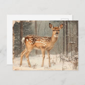 ヴィンテージ名勝ジャンク素朴ジャーナル ポストカード (正面/裏面)