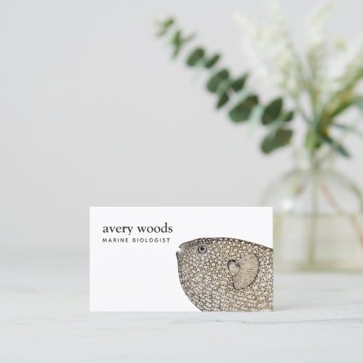 ヴィンテージ吹海洋生物学者名刺 名刺 (スタンド正面)