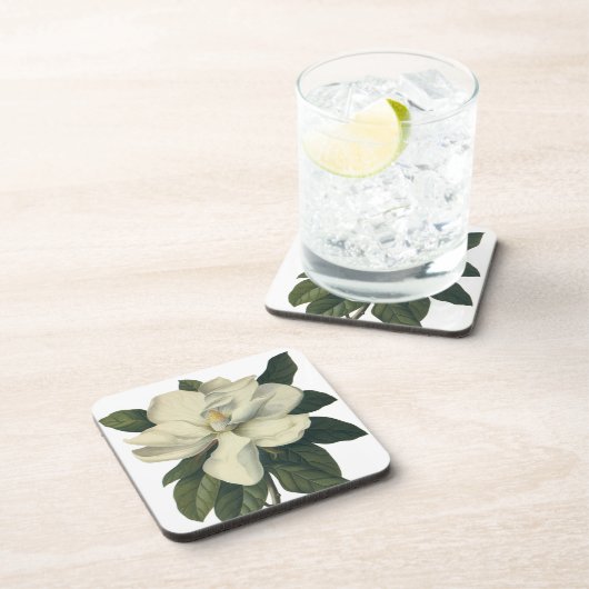 ヴィンテージ咲き白いホグノリアの花 コースター (右側)