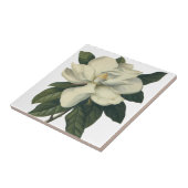 ヴィンテージ咲き白いホグノリアの花 タイル (側面)