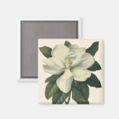 ヴィンテージ咲き白いホグノリアの花 マグネット (正面/裏面)