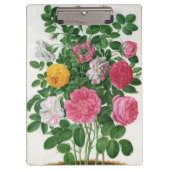 ヴィンテージ咲く花、春ガーデンバラ クリップボード (正面)