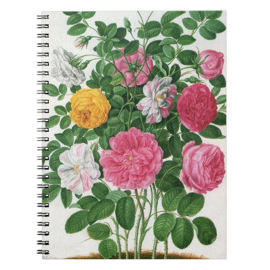 ヴィンテージ咲く花、春ガーデンバラ ノートブック (正面)
