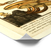 ヴィンテージ品種マッシュルームフランスのアートプリント ポスター (角)