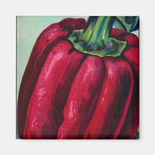 ヴィンテージ唐辛子磁石 マグネット (正面)