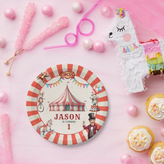 ヴィンテージ回路カーニバル誕生日プレート ペーパープレート (パーティー)