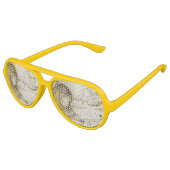 ヴィンテージ回転木馬ドリームズアビエーターパーティーシェード アビエーターサングラス (アングル)