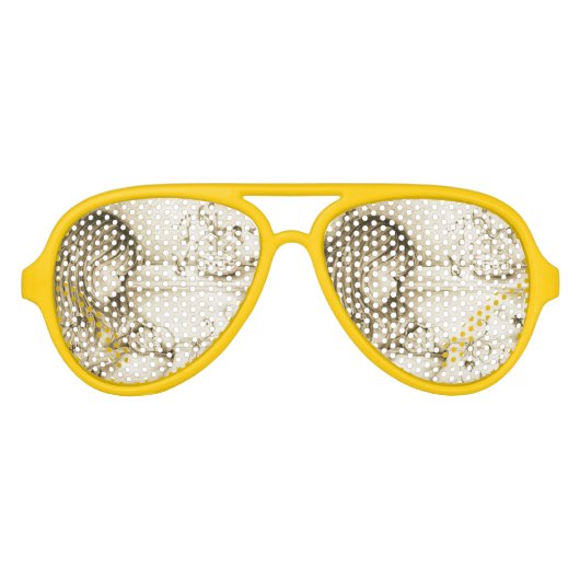 ヴィンテージ回転木馬ドリームズアビエーターパーティーシェード アビエーターサングラス (正面)