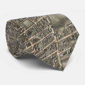 ヴィンテージ図版ワーチェスターMAの地図(1878) ネクタイ (ロール)