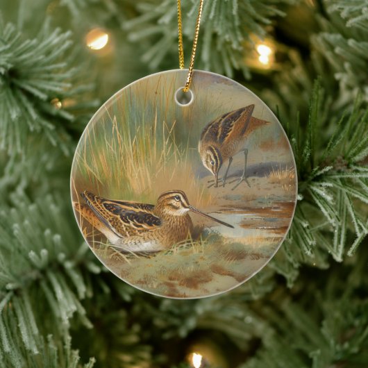 ヴィンテージ図解入りの、写真付きのシギの鳥、鳥 セラミックオーナメント (ツリー)