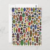 ヴィンテージ図解入りの、写真付きの甲虫 ポストカード (正面/裏面)