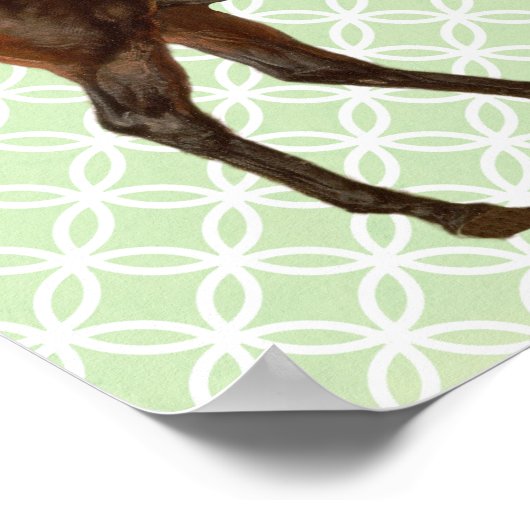 ヴィンテージ図解入りの、写真付きの馬レトロアートポスター ポスター (角)