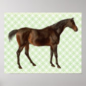 ヴィンテージ図解入りの、写真付きの馬レトロアートポスター ポスター (正面)