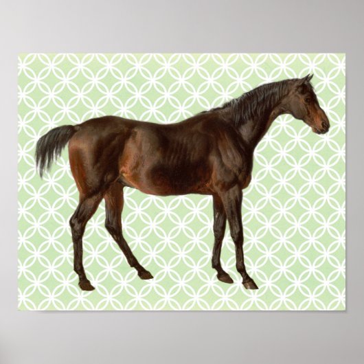 ヴィンテージ図解入りの、写真付きの馬レトロアートポスター ポスター (正面)