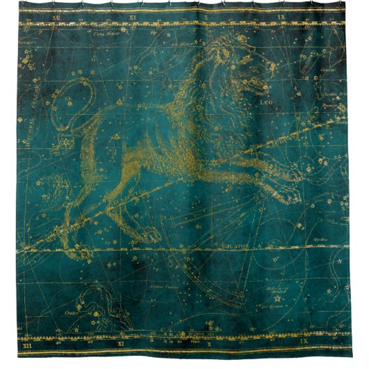 ヴィンテージ図解入りの、写真付きの・グリーン&金ゴールド・ライオン・スター・マップ シャワーカーテン (正面)