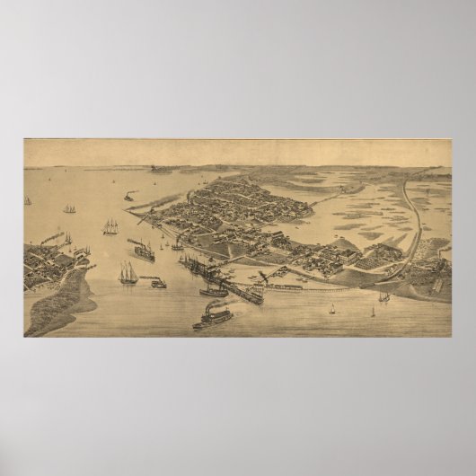 ヴィンテージ図鑑シダー鍵FL (1884) ポスター (正面)