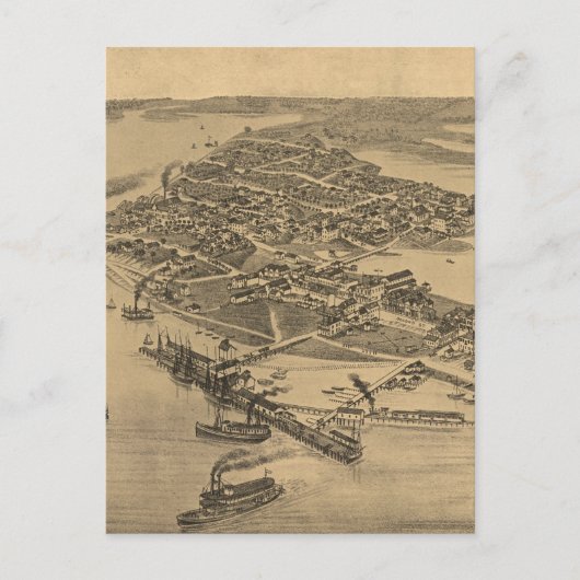 ヴィンテージ図鑑シダー鍵FL (1884) ポストカード (正面)