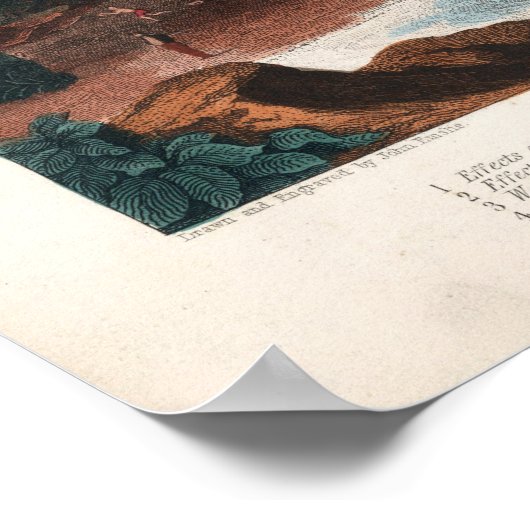 ヴィンテージ図 ポスター (角)