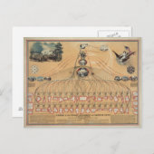 ヴィンテージ図 ポストカード (正面/裏面)