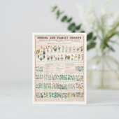 ヴィンテージ図:植物の分類 ポストカード (スタンド正面)