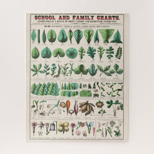 ヴィンテージ図:葉 ジグソーパズル (縦)