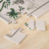 ヴィンテージ図:葉 ジグソーパズル (側面)