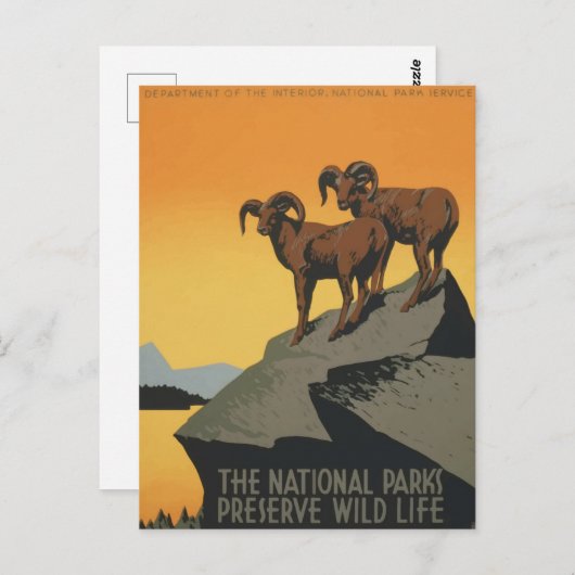ヴィンテージ国立公園レトロ旅行ポスター ポストカード (正面/裏面)