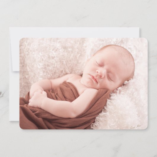 ヴィンテージ園の誕生発表 案内状 (裏面)