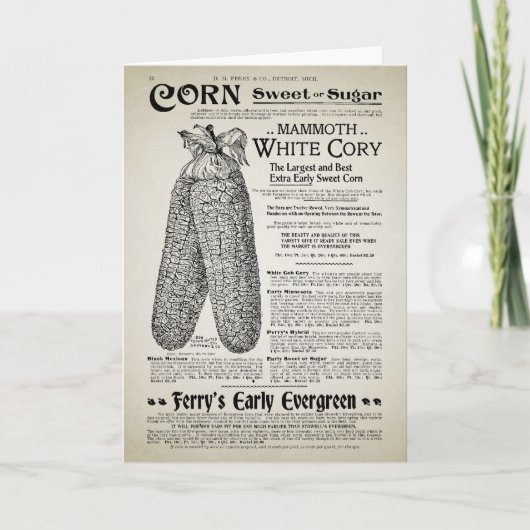 ヴィンテージ園芸カタログ カード (正面)