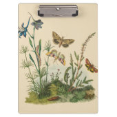 ヴィンテージ園芸昆虫、蝶、毛虫 クリップボード (正面)