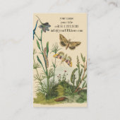ヴィンテージ園芸昆虫、蝶、毛虫 名刺 (裏面)