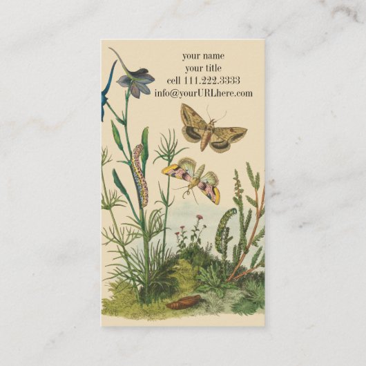 ヴィンテージ園芸昆虫、蝶、毛虫 名刺 (裏面)