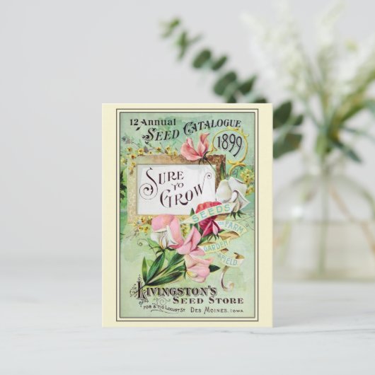 ヴィンテージ園芸花の種子カタログ ポストカード (スタンド正面)