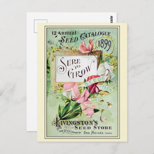 ヴィンテージ園芸花の種子カタログ ポストカード (正面/裏面)