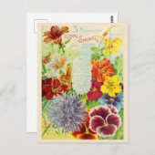 ヴィンテージ園芸花の種子カタログ ポストカード (正面/裏面)