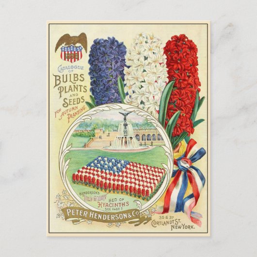 ヴィンテージ園芸花の種子カタログ ポストカード (正面)
