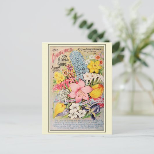 ヴィンテージ園芸花の種子カタログ ポストカード (スタンド正面)