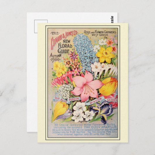ヴィンテージ園芸花の種子カタログ ポストカード (正面/裏面)