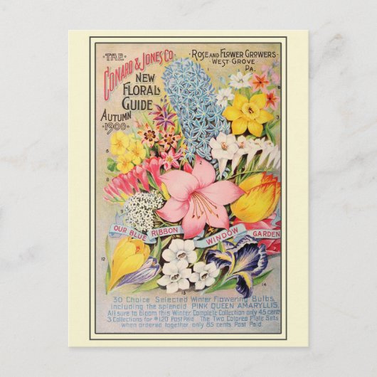 ヴィンテージ園芸花の種子カタログ ポストカード (正面)
