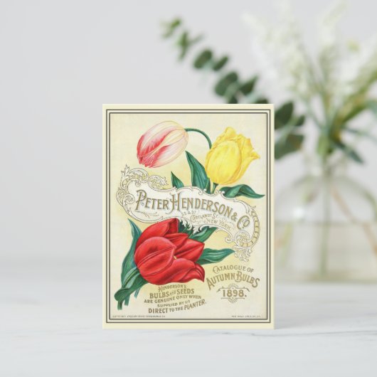 ヴィンテージ園芸花の種子カタログ ポストカード (スタンド正面)