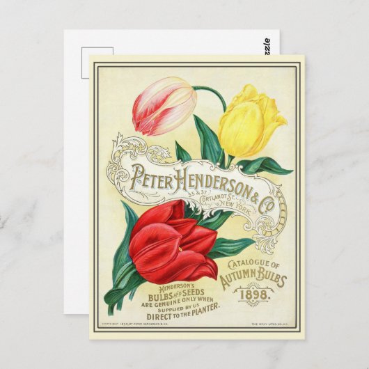 ヴィンテージ園芸花の種子カタログ ポストカード (正面/裏面)