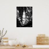 ヴィンテージ土星Vのモノクロ写真 ポスター (キッチン)