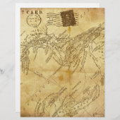 ヴィンテージ地図 (正面/裏面)