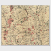 ヴィンテージ地図（1881年） ラッピングペーパー (フラット)