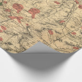 ヴィンテージ地図（1881年） ラッピングペーパー (コーナー)