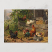 ヴィンテージ地方の鶏の農場はがき ポストカード (正面)