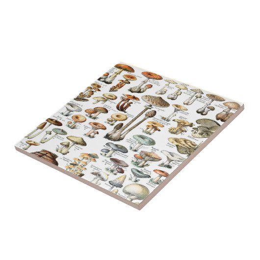 ヴィンテージ型 タイル (側面)