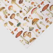 ヴィンテージ型 薄葉紙 (詳細)