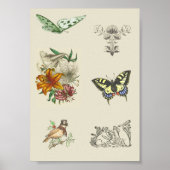 ヴィンテージ多彩な印刷可能なスクラップブック作り画像 ポスター (正面)