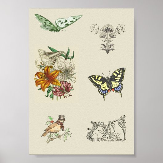 ヴィンテージ多彩な印刷可能なスクラップブック作り画像 ポスター (正面)